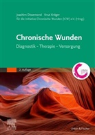 Initiative Chronische Wunden e V, Joachim Dissemond, Initiative Chronische Wunden e.V., Knut Kröger - Chronische Wunden
