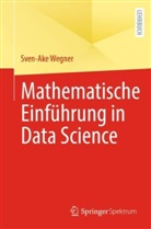 Sven-Ake Wegner - Mathematische Einführung in Data Science