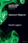 David Liggins, David (University of Manchester) Liggins, Liggins David - Abstract Objects
