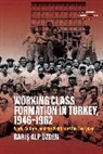 BarÄ±s Alp Ozden, Baris Alp Ozden, Bars Alp Ozden, Bar&amp; Özden, Bar¿¿ Alp Özden, Barış Alp Özden - Working Class Formation in Turkey, 1946-1962