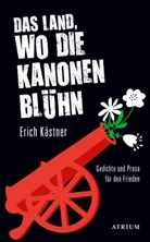 Sven Hanuschek, Erich Kästner - Das Land, wo die Kanonen blühn