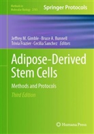 Bruce Bunnell, Trivia Frazier, Trivia Frazier et al, Jeffrey Gimble, Cecilia Sanchez - Adipose-Derived Stem Cells
