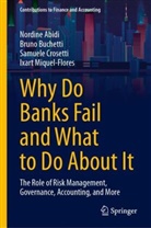 Nordine Abidi, Bruno Buchetti, Samuele Crosetti, Samuele e Crosetti, Ixart Miquel-Flores - Why Do Banks Fail and What to Do About It