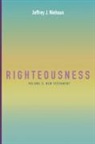 Jeffrey J. Niehaus - Righteousness