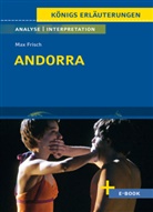Max Frisch - Andorra von Max Frisch - Textanalyse und Interpretation