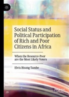 Elvis Bisong Tambe, Elvis Bisong Tambe - Social Status and Political Participation of Rich and Poor Citizens in Africa