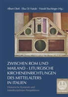 Harald Buchinger, Elisa Di Natale, Albert Dietl - Zwischen Rom und Mailand - Liturgische Kircheneinrichtungen des Mittelalters in Italien