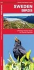 James Kavanagh, Waterford Press, Raymond Leung - Sweden Birds