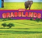 Alexis Roumanis - Grasslands