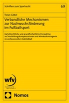 Tizian Göbel - Verbandliche Mechanismen zur Nachwuchsförderung im Fußballsport