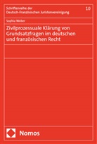 Sophia Weber - Zivilprozessuale Klärung von Grundsatzfragen im deutschen und französischen Recht