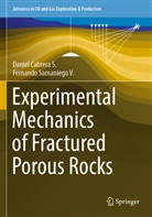 Daniel Cabrera S, Daniel Cabrera S., Fernando Samaniego V, Fernando Samaniego V. - Experimental Mechanics of Fractured Porous Rocks