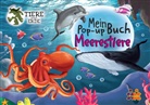 Tiere unserer Erde. Mein Meerestiere Pop-up Buch