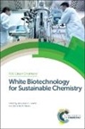 Maria Alice (Universidade Federal Do Rio D Coelho, Maria Alice Coelho, Bernardo D Ribeiro, Bernardo D. Ribeiro - White Biotechnology for Sustainable Chemistry