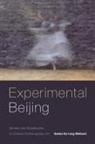 Sasha Su-Ling Welland - Experimental Beijing