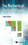Petko H Petkov, Petko Petkov, Petko H Petkov - Numerical Jordan Form, The