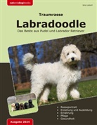 Jens Lackert - Traumrasse: Labradoodle