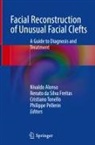 Nivaldo Alonso, Renato da Silva Freitas, Renato da Silva Freitas, Philippe Pellerin, Cristiano Tonello, Cristiano Tonello et al - Facial Reconstruction of Unusual Facial Clefts