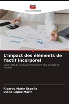 Diana Lopez Marin, Ricardo Marin España - L'impact des éléments de l'actif incorporel