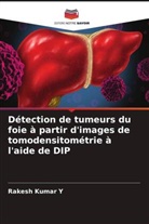 Rakesh Kumar Y - Détection de tumeurs du foie à partir d'images de tomodensitométrie à l'aide de DIP