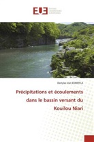 Destyles van Kombyla - Précipitations et écoulements dans le bassin versant du Kouilou Niari