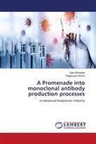 Ujan Banerjee, Rajgourab Ghosh - A Promenade into monoclonal antibody production processes