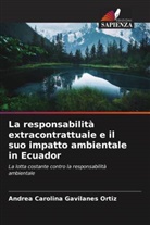 Andrea Carolina Gavilanes Ortiz - La responsabilità extracontrattuale e il suo impatto ambientale in Ecuador