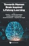 Savitha Ramasamy Arulmurugan Xiaoli Li, Arulmurugan Ambikapathi, ArulMurugan Ambikapathi, Haytham M Fayek, Haytham M Fayek, Xiaoli Li... - Towards Human Brain Inspired Lifelong Learning