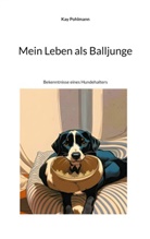 Kay Pohlmann - Mein Leben als Balljunge