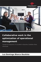 Luz Dominga Blanco Bautista - Collaborative work in the optimization of operational management
