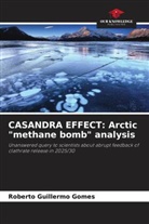 Roberto Guillermo Gomes - CASANDRA EFFECT: Arctic "methane bomb" analysis