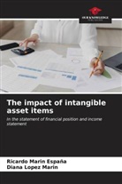 Diana Lopez Marin, Ricardo Marin España - The impact of intangible asset items