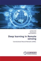 Rania Ibrahim, Asmaa Mandouh, Lamyaa Taha - Deep learning in Remote sensing