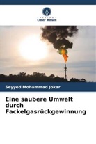 Seyyed Mohammad Jokar - Eine saubere Umwelt durch Fackelgasrückgewinnung