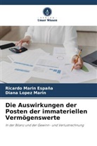 Diana Lopez Marin, Ricardo Marin España - Die Auswirkungen der Posten der immateriellen Vermögenswerte