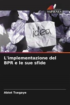 Abiot Tsegaye - L'implementazione del BPR e le sue sfide