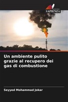 Seyyed Mohammad Jokar - Un ambiente pulito grazie al recupero dei gas di combustione