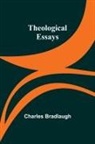 Charles Bradlaugh - Theological Essays