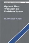 Francesco Maggi, Francesco (University of Texas Maggi - Optimal Mass Transport on Euclidean Spaces