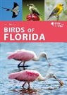 Kirsten Hines, Hines Kirsten - Birds of Florida