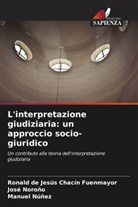 Ronald de Jesús Chacín Fuenmayor, José Noroño, Manuel Nuñez - L'interpretazione giudiziaria: un approccio socio-giuridico