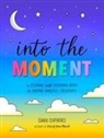 Dani DiPirro - Into the Moment