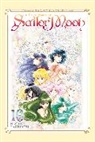 Naoko Takeuchi - Sailor Moon 10 (Naoko Takeuchi Collection)