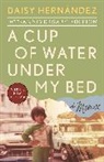 Daisy Hernandez, Daisy Hernández - A Cup of Water Under My Bed