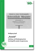Wolfgang Ayass, Deutscher Verein, Deutscher Verein - "Asozial"