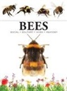 Tom Jackson - Bees