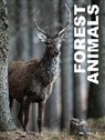 Julianna Photopoulos - Forest Animals