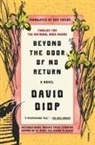 David Diop - Beyond the Door of No Return