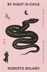 Roberto Bolano, Roberto Bolaño - By Night in Chile