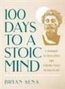 Ida Noe, Bryan Sena - 100 Days to a Stoic Mind